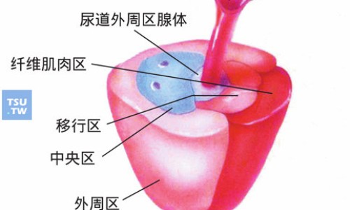 胶囊胃镜和其他胃镜的区别网胶囊胃镜一次多少钱知识网站,分享胶囊胃镜怎么做的过程大全